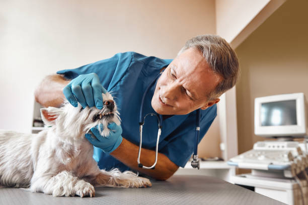 Best Emergency Dental Extractions in Lakeland, TN